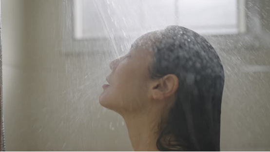 multi-functional shower filter